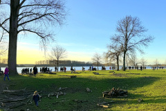 2024-01-28-16h_Hitdorf-Rhein-Faehre_1020012-100