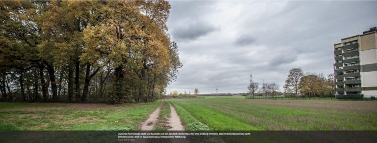 Neubauprojekt Rheindorf
