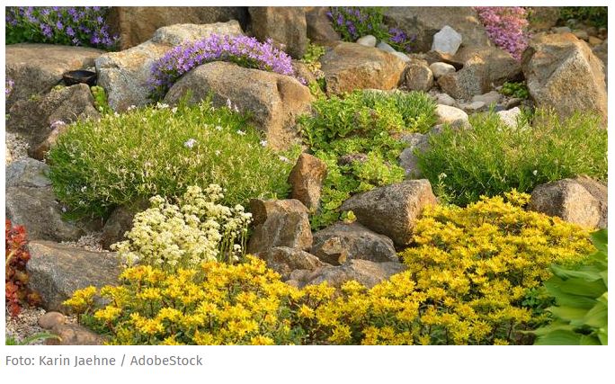 2021-06-29-Vorgarten gestalten_ Pflaster, Stein- oder Schottergarten_ _ Verbraucherzentrale NRW