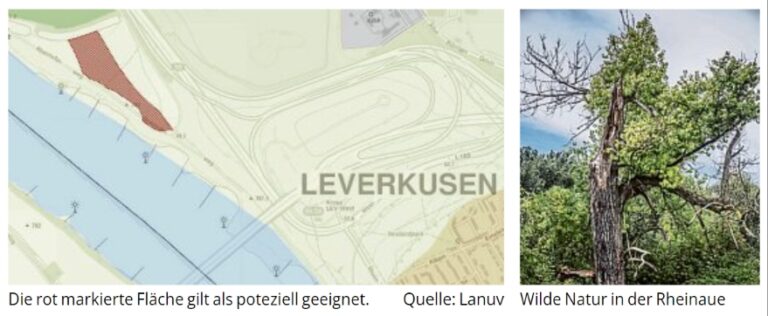 2023-08-03_KSTA_Die Windenergie aus der -Hölle-