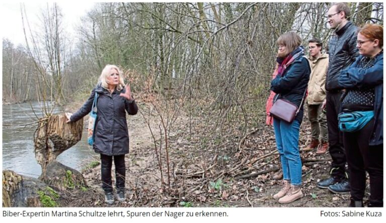 2024-02-20_Biber gestalten Lebensraum an der Dhünn