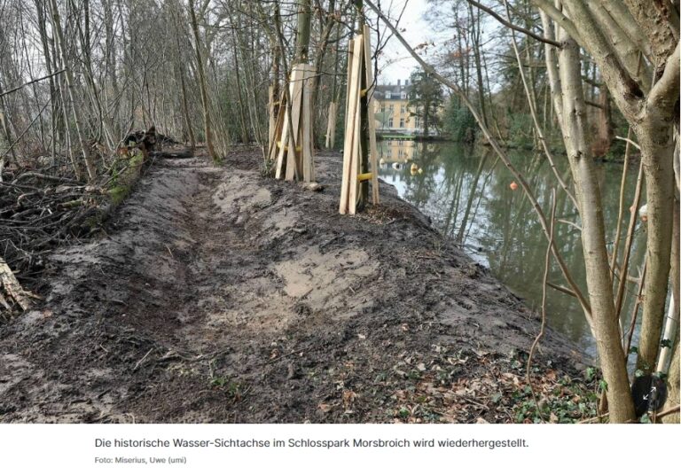 2024-02-09_RP_ Größter Eingriff in den Schlosspark seit 40 Jahren