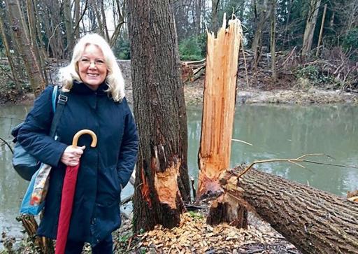 2024-02-01_KSTA_Biber-Familien leben an der Dhünn