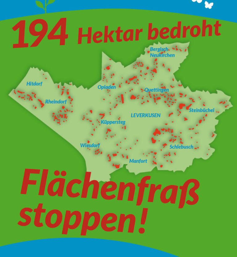 Flyer zur Kommunalwahl 2025